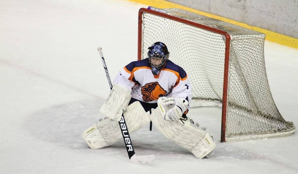 Comment se comptent les points au hockey sur glace ?